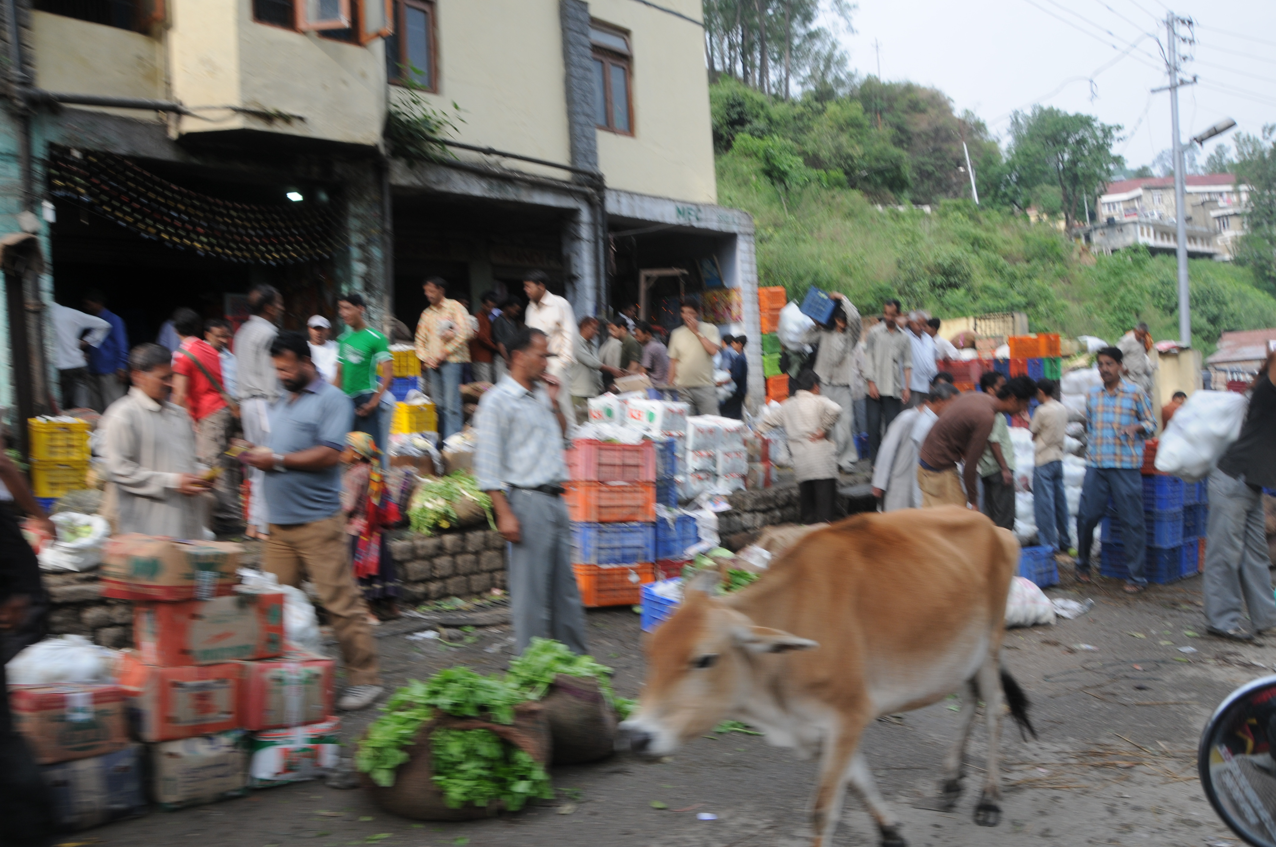 Anaz Mandi_Vegetable_Market